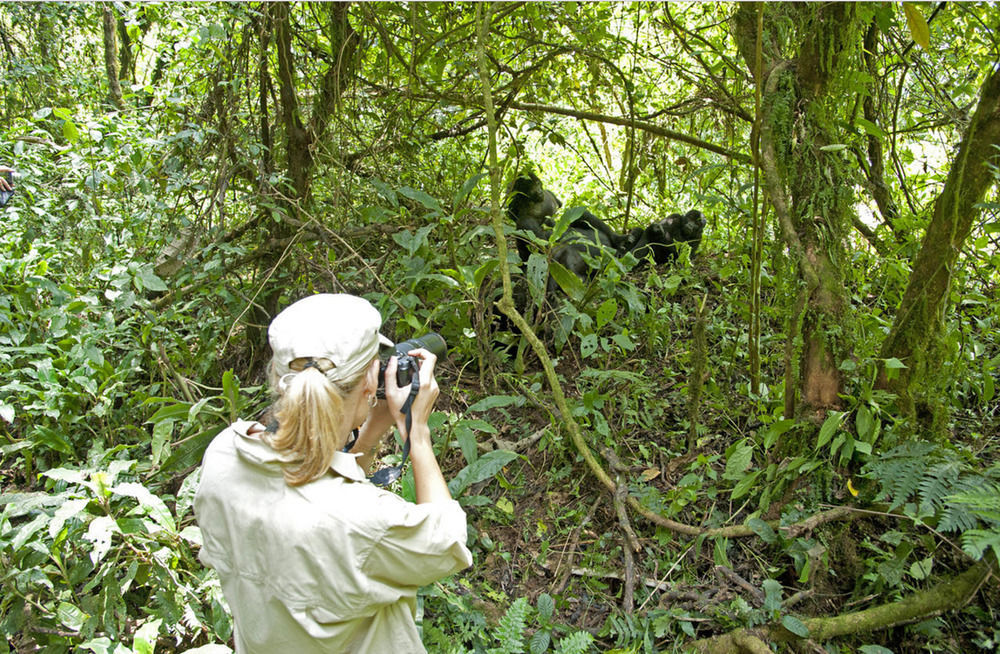 Sanctuary Gorilla Forest Camp Hotel Ntungamo  Eksteriør billede